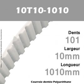 Courroie Dentée PU 10T10-1010
