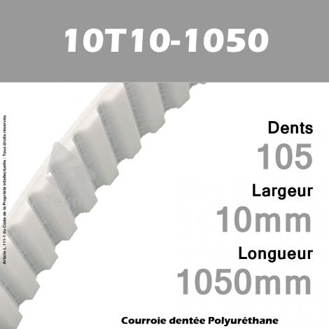 Courroie Dentée PU 10T10-1050