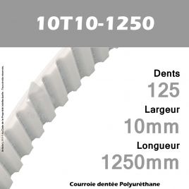 Courroie Dentée PU 10T10-1250