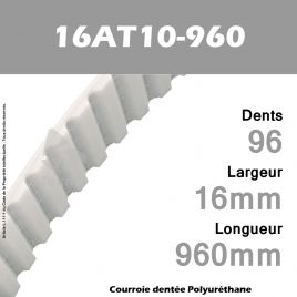 Courroie Dentée PU 16AT10-960