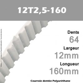Courroie Dentée PU 12T2,5-160