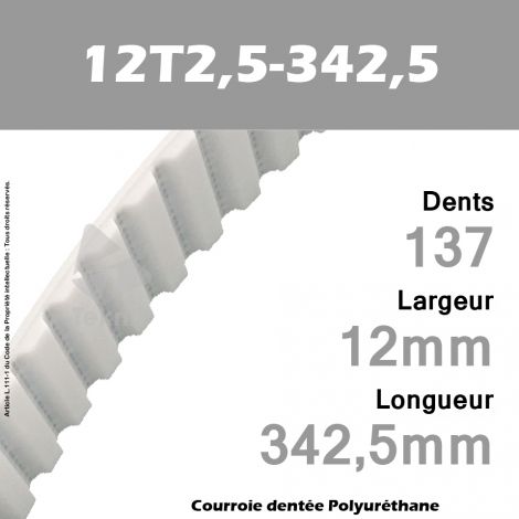 Courroie Dentée PU 12T2,5-342,5