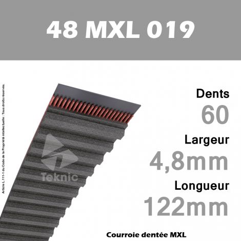 Courroie Dentée 48 MXL 019