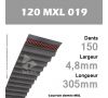 Courroie Dentée 120 MXL 019