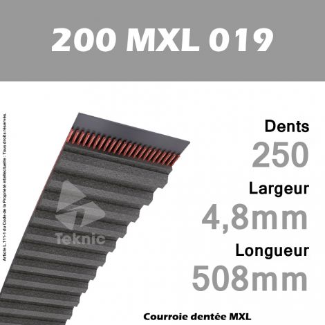 Courroie Dentée 200 MXL 019