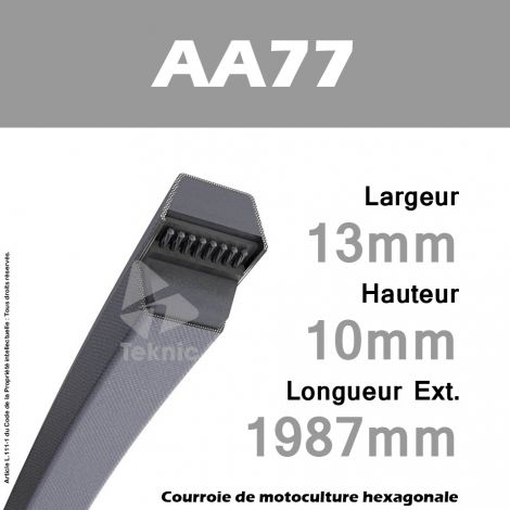 Courroie Hexagonale AA77 - Continental