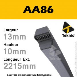 Courroie Hexagonale AA86 - Teknic