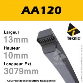 Courroie Hexagonale AA120 - Teknic
