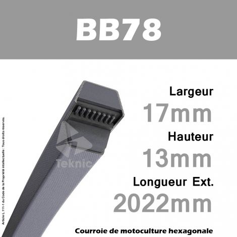 Courroie Hexagonale BB78