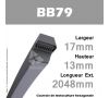 Courroie Hexagonale BB79 - Continental