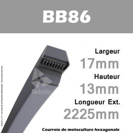 Courroie Hexagonale BB86 - Continental