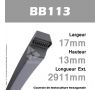Courroie Hexagonale BB113 - Continental