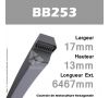 Courroie Hexagonale BB253 - Continental
