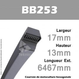 Courroie Hexagonale BB253 - Continental