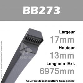 Courroie Hexagonale BB273 - Continental