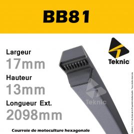 Courroie Hexagonale BB081 - Teknic