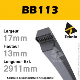 Courroie Hexagonale BB113 - Teknic