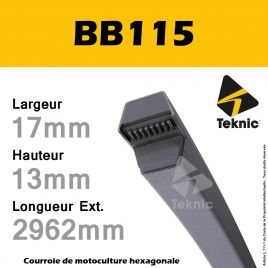 Courroie Hexagonale BB115 - Teknic