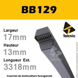 Courroie Hexagonale BB129 - Teknic