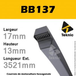 Courroie Hexagonale BB137 - Teknic