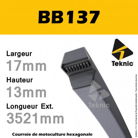 Courroie Hexagonale BB137 - Teknic