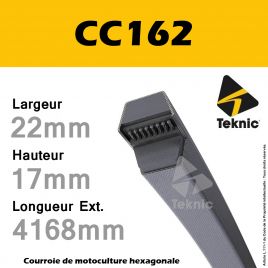Courroie Hexagonale CC162 - Teknic