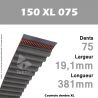 Courroie Dentée 150 XL 075