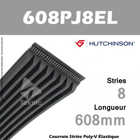 Courroie Flexonic 608 PJ 8 EL - Hutchinson