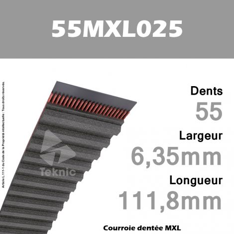 Courroie Dentée 55 MXL 025