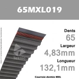 Courroie Dentée 65 MXL 019