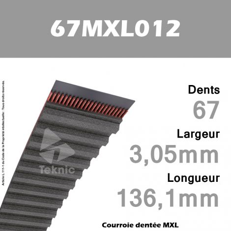 Courroie Dentée 67 MXL 012