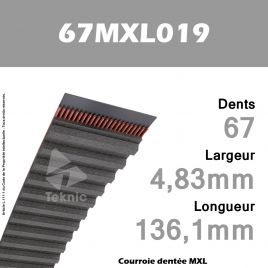 Courroie Dentée 67 MXL 019