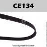 Courroie Dégauchisseuse sur BESTCOMBI 260 / CE134