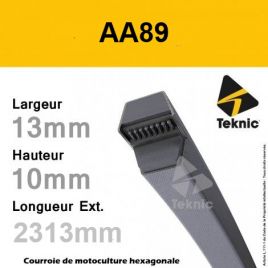 Courroie Hexagonale AA89 - Teknic