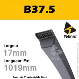 Courroie B37.5 - Teknic