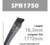 Courroie SPB1750 - Continental
