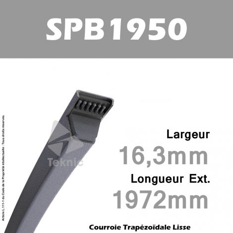 Courroie SPB1950 - Continental