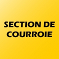 SECTION DE COURROIE